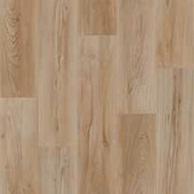 Линолеум бытовой усиленный Tarkett Club Bride 1